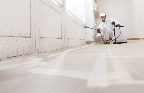 24/7 Emergency Mold Remediation experts in Windsor, NC